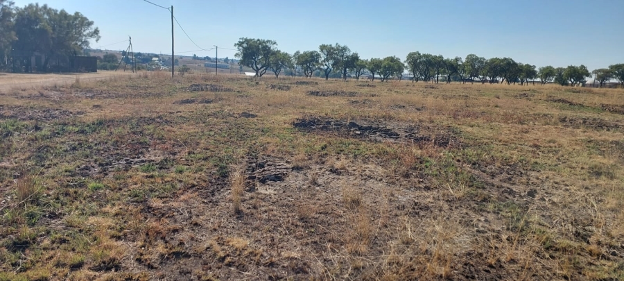 0 Bedroom Property for Sale in Metsimaholo Free State